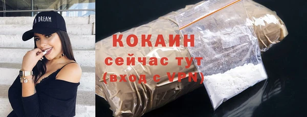 спиды Магас