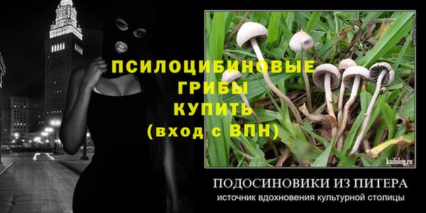 каннабис Магадан